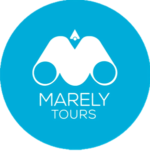 Marely Tours